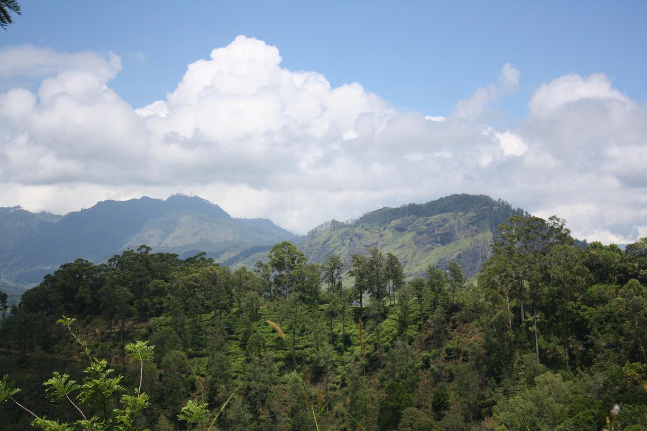 Vila Ella Repose Exteriér fotografie